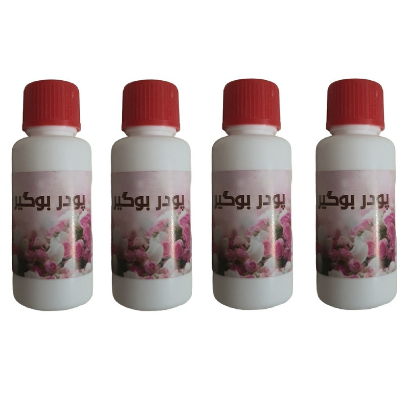 پودر بوگیر کفش مدل GiiiF4 مجموعه 4 عددی