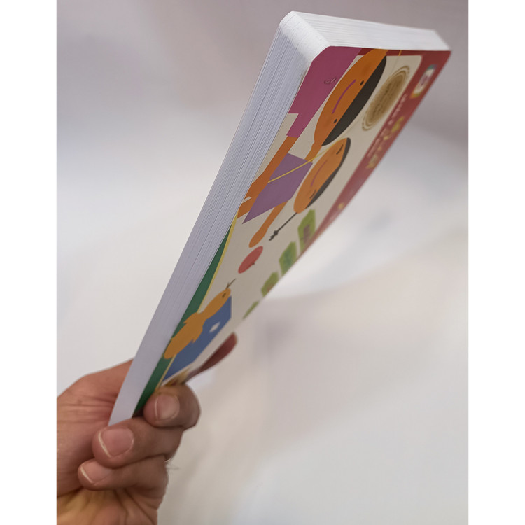کتاب رنگ آمیزی برگ زیاد حدود 200 برگ و آموزش نقاشی متنوع بنفشه