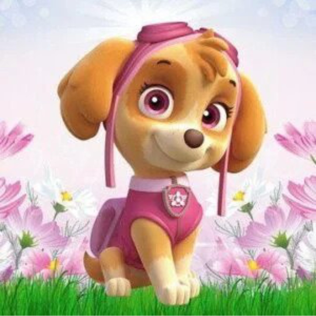 عروسک اسکای سگ های نگهبان پارچه ای