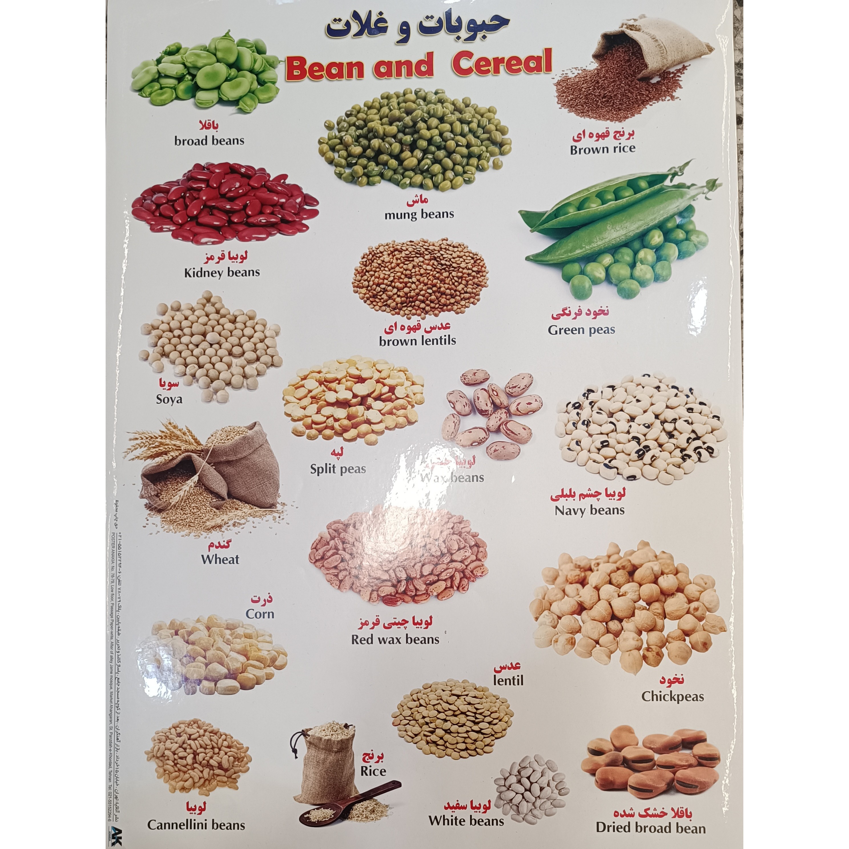 برچسب حبوبات و غلات  اموزشی پشت چسب دار مناسب مدرسه و کاردستی برچسب آموزشی