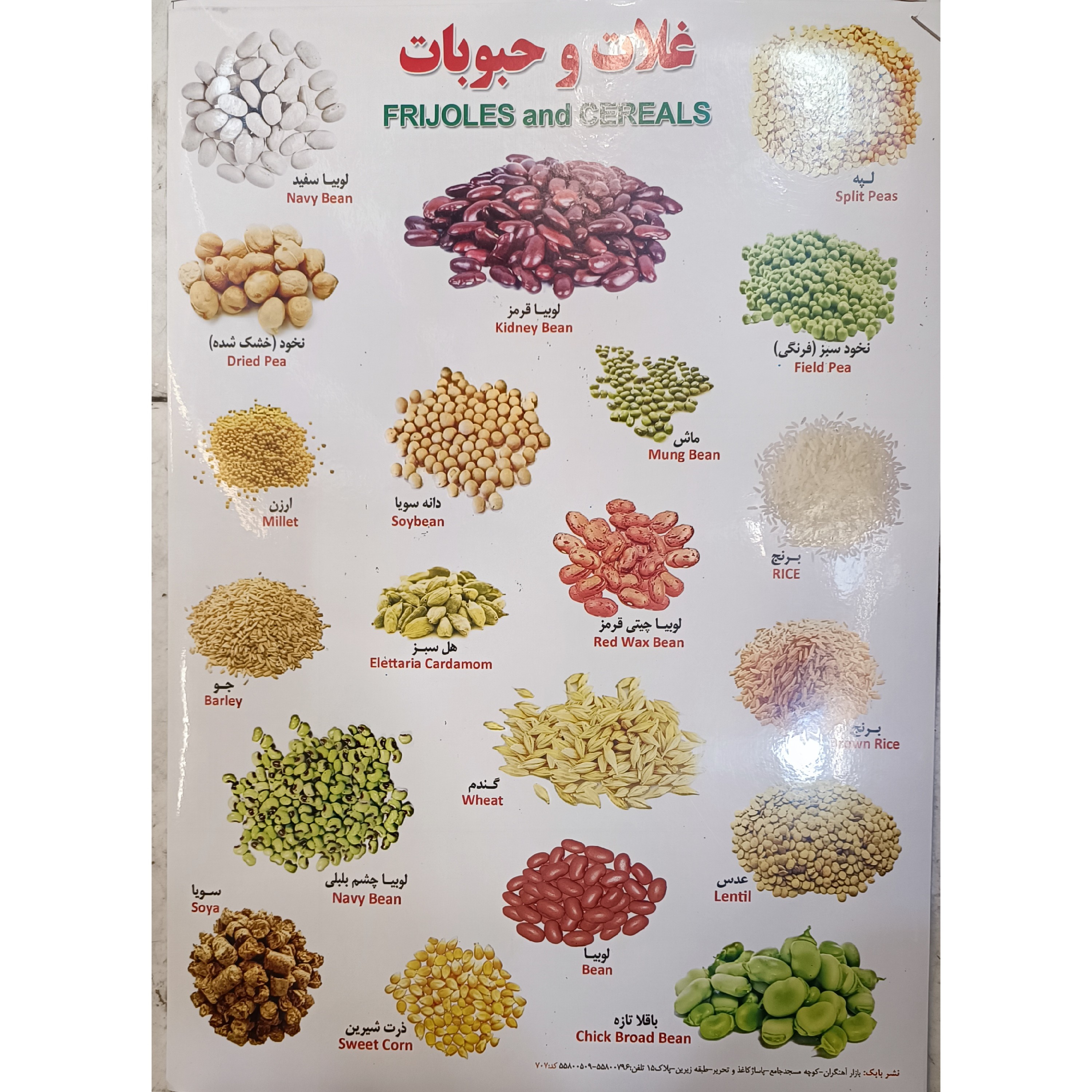 برچسب غلات و حبوبات  اموزشی پشت چسب دار مناسب مدرسه و کاردستی برچسب آموزشی