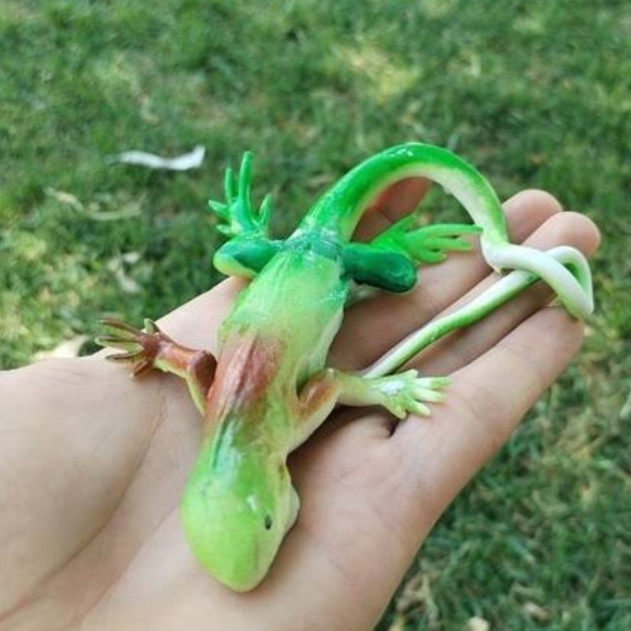 مارمولک ژله ای لوازم شوخی و سرکاری حیوانات چندش آور