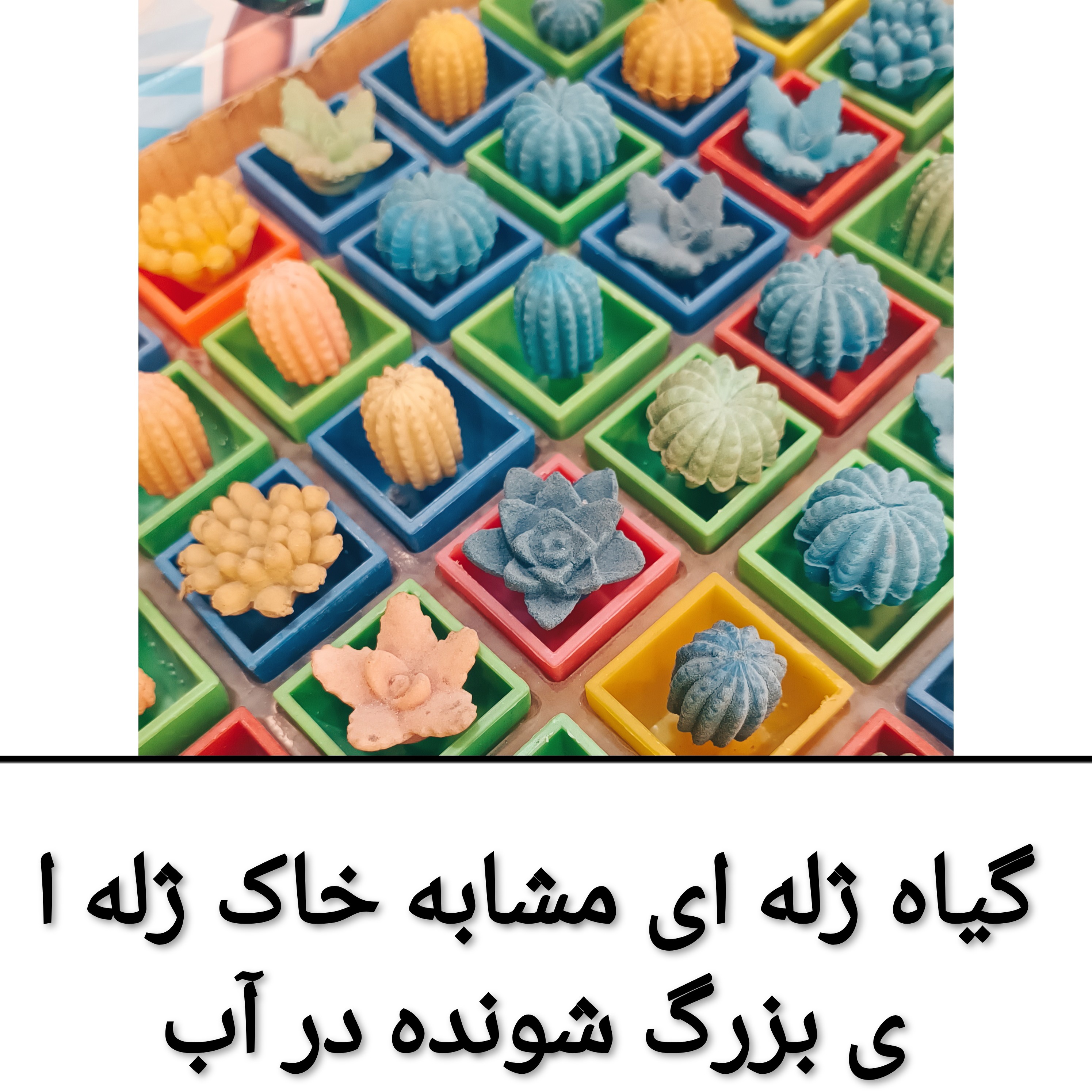 گیاه ژله ای مشابه خاک ژله ای بزرگ شونده در اب