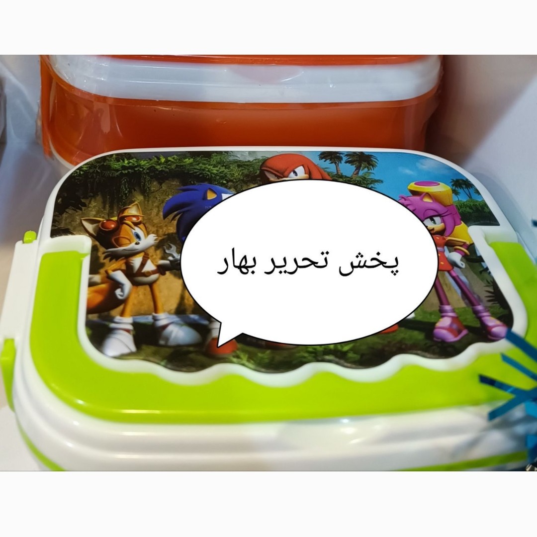 ظرف غذا دو طبقه فانتزی درب چاپی پارسا پلاست دخترانه و پسرانه کد 5447