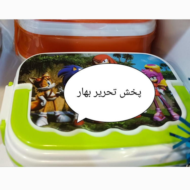 ظرف غذا دو طبقه فانتزی درب چاپی پارسا پلاست دخترانه و پسرانه کد 5447