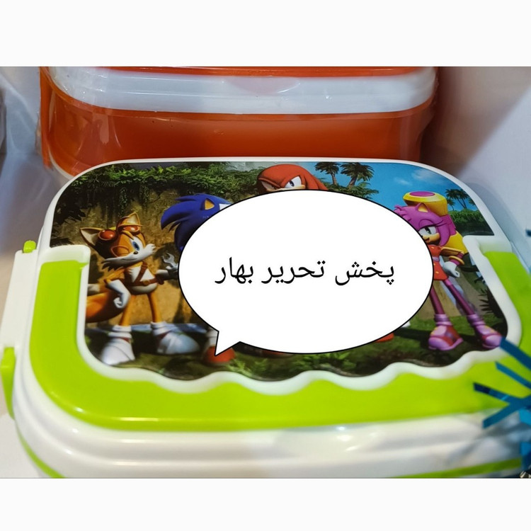 ظرف غذا سه طبقه فانتزی درب چاپی پارسا پلاست دخترانه و پسرانه کد 5448